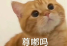 E句话| 王暖暖正式解约