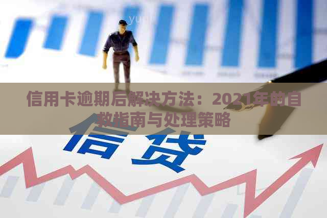 信用卡逾期后解决方法：2021年的自救指南与处理策略