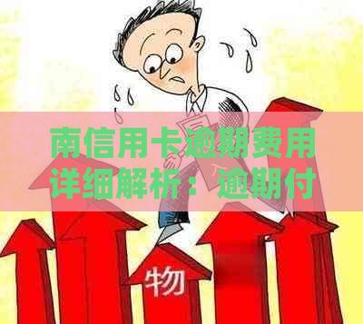 南信用卡逾期费用详细解析：逾期付款会产生多少费用及其计算方法