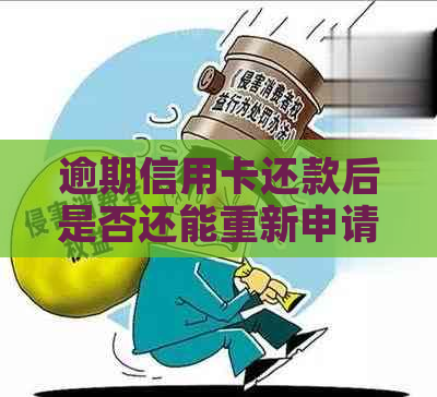 逾期信用卡还款后是否还能重新申请？关键步骤和应对策略详解