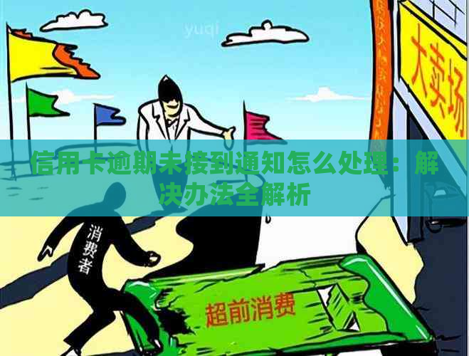 信用卡逾期未接到通知怎么处理：解决办法全解析