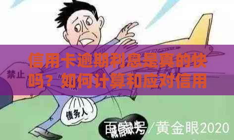 信用卡逾期利息是真的快吗？如何计算和应对信用卡逾期利率？