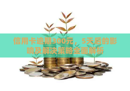 信用卡逾期300元，5天后的影响及解决策略全面解析