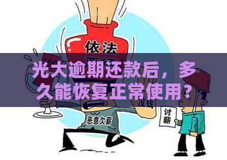 光大逾期还款后，多久能恢复正常使用？