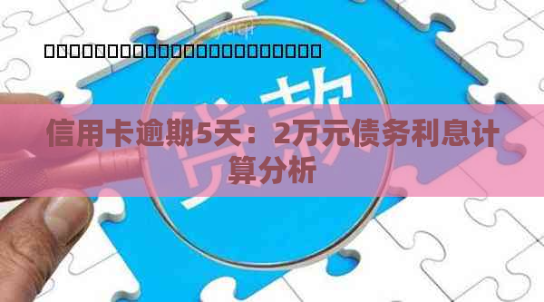 信用卡逾期5天：2万元债务利息计算分析