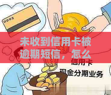 未收到信用卡被逾期短信，怎么办？