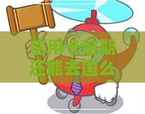 信用卡逾期还能去国么