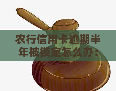 农行信用卡逾期半年被锁定怎么办：解锁技巧与方法解析