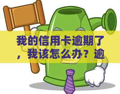 我的信用卡逾期了，我该怎么办？逾期还款后果、解决方案及如何预防