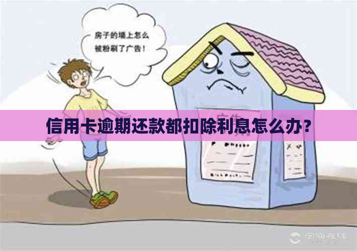 信用卡逾期还款都扣除利息怎么办？