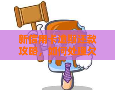 新信用卡逾期还款攻略，如何处理欠款问题？