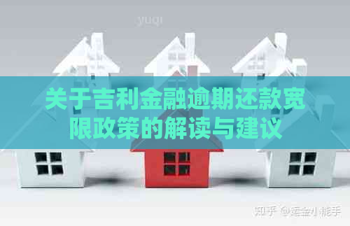 关于吉利金融逾期还款宽限政策的解读与建议