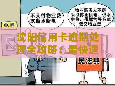 沈阳信用卡逾期处理全攻略：最快速解决方法与流程