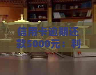 信用卡逾期还款5000元：利息计算方式与应对策略