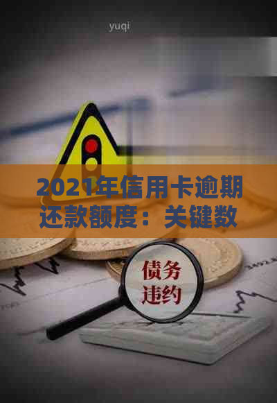 2021年信用卡逾期还款额度：关键数据、分析与应对策略