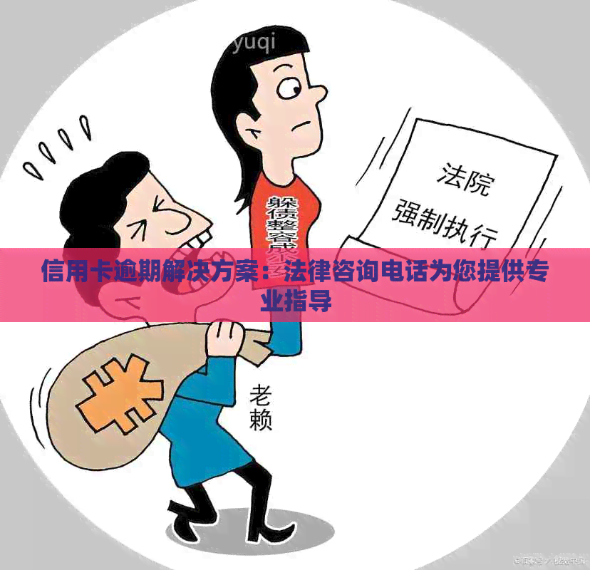 信用卡逾期解决方案：法律咨询电话为您提供专业指导