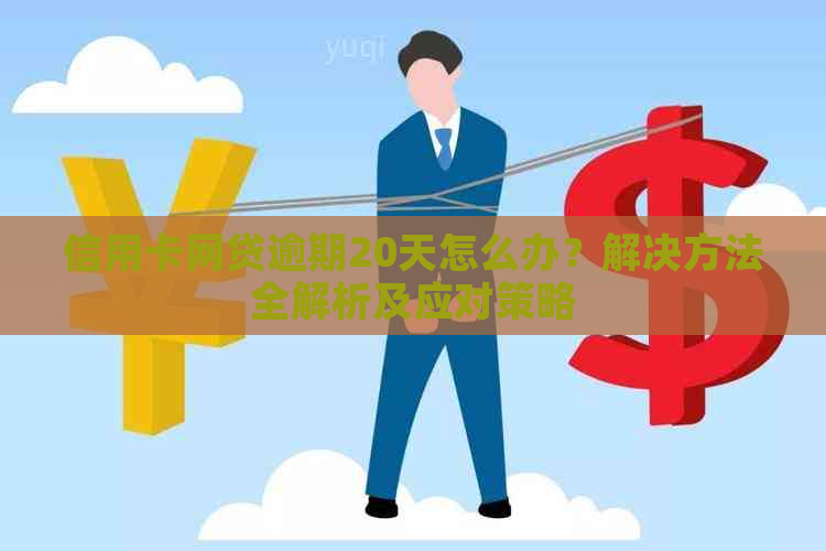 信用卡网贷逾期20天怎么办？解决方法全解析及应对策略