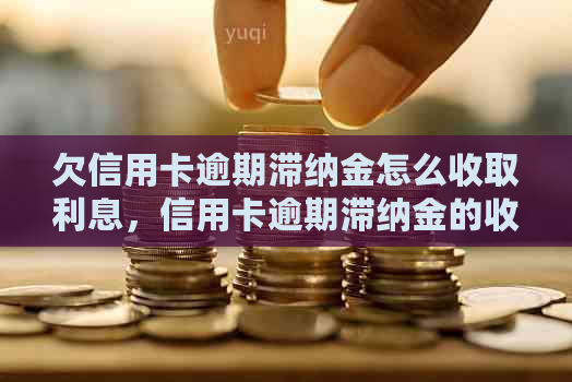 欠信用卡逾期滞纳金怎么收取利息，信用卡逾期滞纳金的收取方式