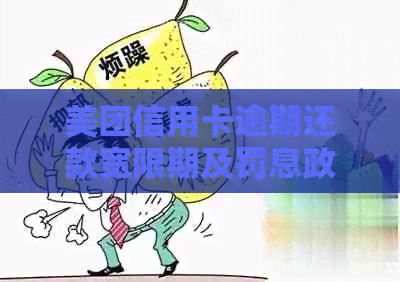 美团信用卡逾期还款宽限期及罚息政策解析