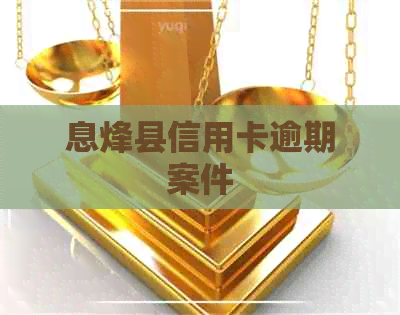 息烽县信用卡逾期案件