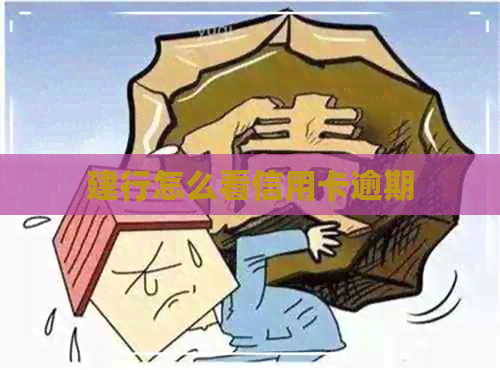 建行怎么看信用卡逾期