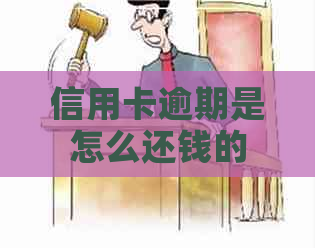 信用卡逾期是怎么还钱的