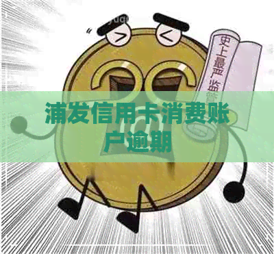 浦发信用卡消费账户逾期