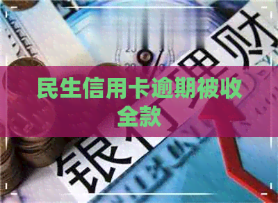 民生信用卡逾期被收全款