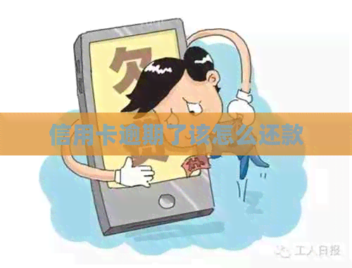 信用卡逾期了该怎么还款