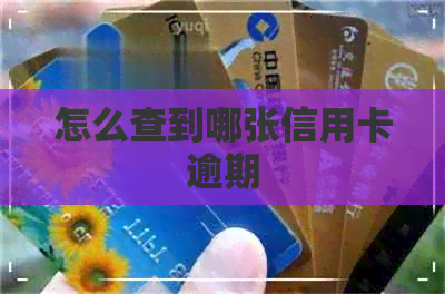 怎么查到哪张信用卡逾期