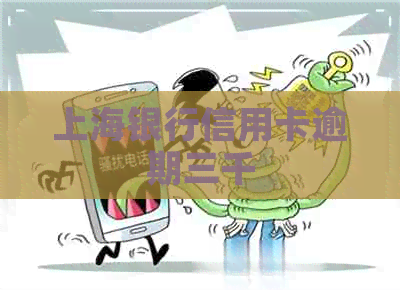 上海银行信用卡逾期三千