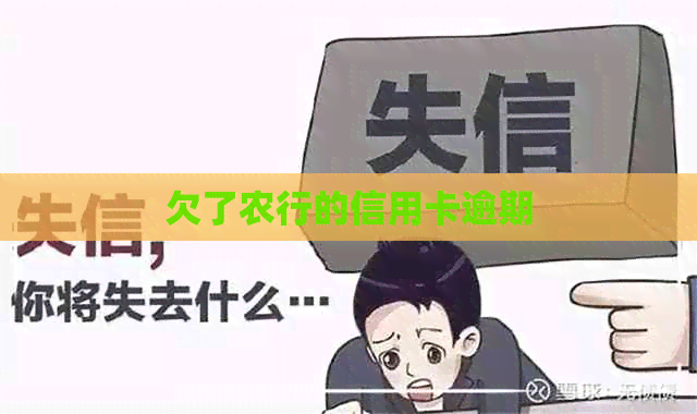 欠了农行的信用卡逾期