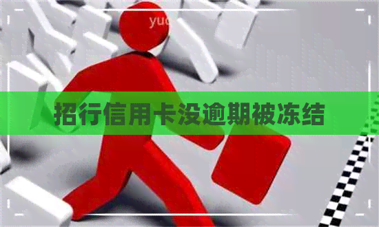 招行信用卡没逾期被冻结