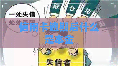 信用卡逾期后什么是本金