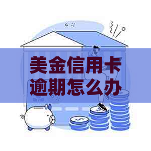 美金信用卡逾期怎么办