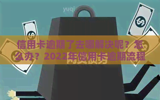 信用卡逾期了去哪解决呢？怎么办？2022年信用卡逾期流程及自救办法