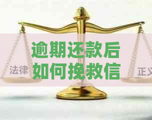 逾期还款后如何挽救信用？实用自救指南和策略