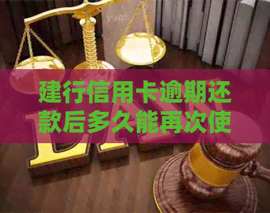 建行信用卡逾期还款后多久能再次使用？是否还能办理蓄卡？