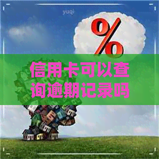 信用卡可以查询逾期记录吗