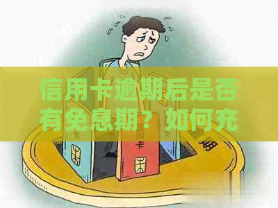 信用卡逾期后是否有免息期？如何充分利用免息期恢复信用？