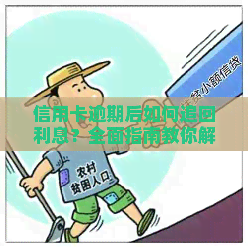 信用卡逾期后如何追回利息？全面指南教你解决还款问题和降低损失