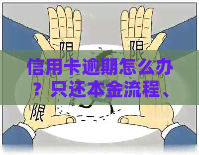 信用卡逾期怎么办？只还本金流程、停息挂账办理及无力偿还解决办法。