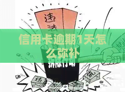 信用卡逾期1天怎么弥补