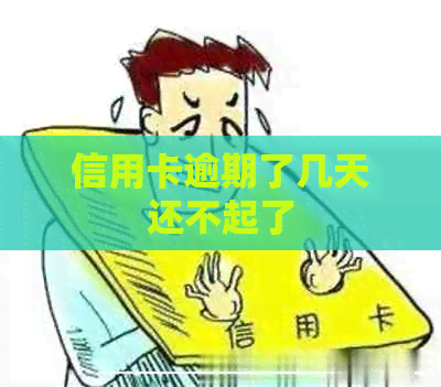 信用卡逾期了几天还不起了