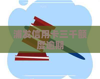 浦发信用卡三千额度逾期