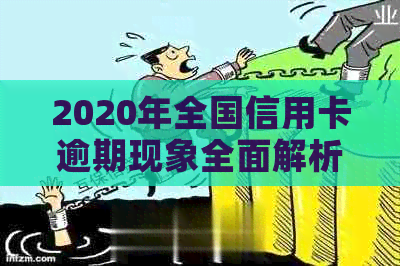 2020年全国信用卡逾期现象全面解析：原因、影响与解决方案