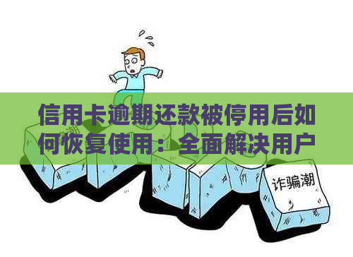 信用卡逾期还款被停用后如何恢复使用：全面解决用户搜索的疑惑与指南