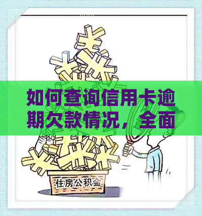 如何查询信用卡逾期欠款情况，全面解答用户关注的问题