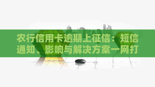 农行信用卡逾期上：短信通知、影响与解决方案一网打尽！