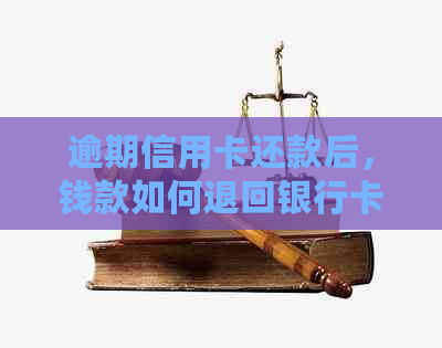 逾期信用卡还款后，钱款如何退回银行卡？解决用户疑惑的全面指南